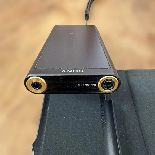 Sony Digital Audio Players Walkman Nw-Zx300