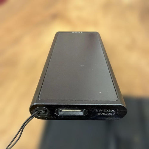 Sony Digital Audio Players Walkman Nw-Zx300