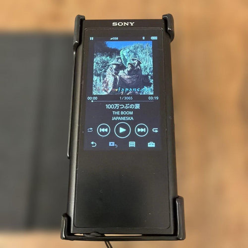 Sony Digital Audio Players Walkman Nw-Zx300