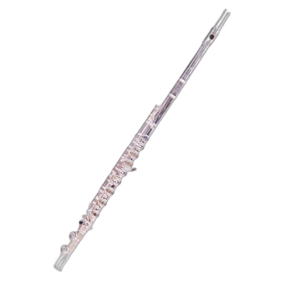 Yamaha Others Yfl-597