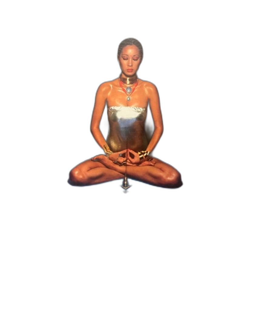 Japanese Music Yoga Lp