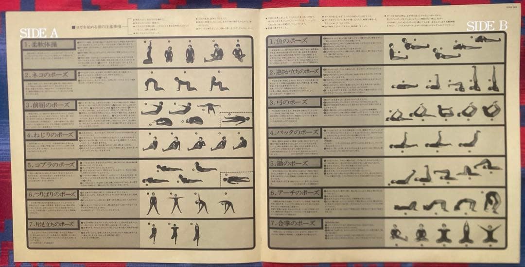 Japanese Music Yoga Lp