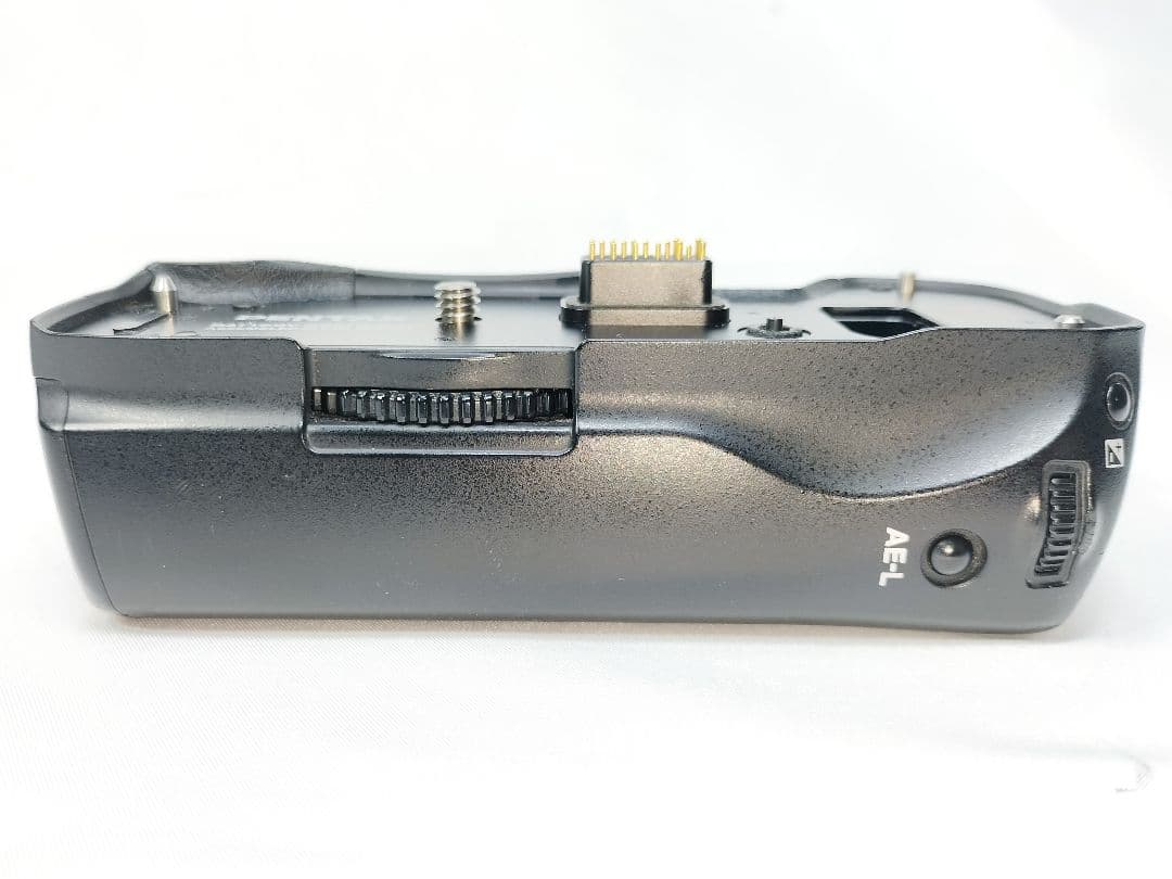 Pentax Others D-Bg2