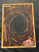 Yu -Gi -Oh! Ocg Duel Monsters 1St