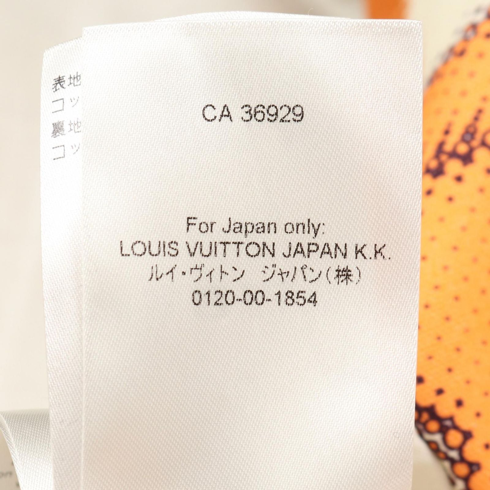 Louis Vuitton Mountain Parka Lv