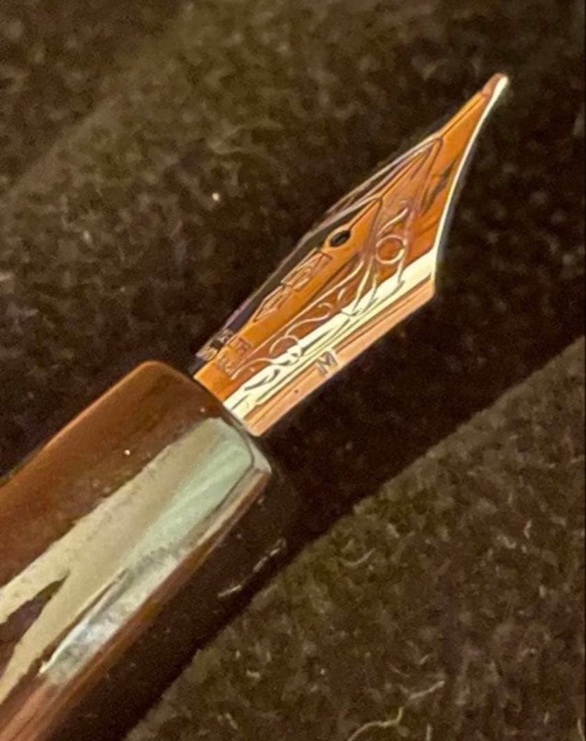 Delta Fountain Pen Zen