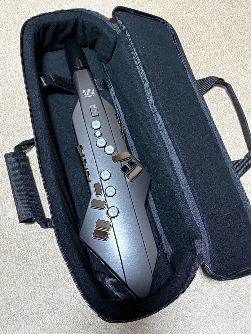 Roland Other Ae-05 Aerophone Go