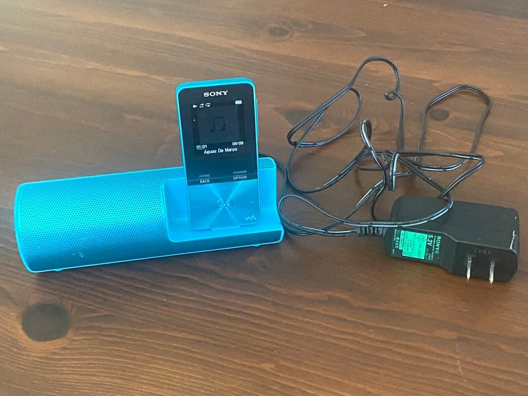 Sony Digital Audio Player S Nw-S313K