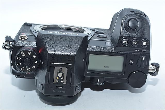 Panasonic Mirrorless Interchangeable Lips 748 111167 S1R Dc-S1R-K