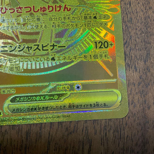 Pokemon Card Game Ex Mur
