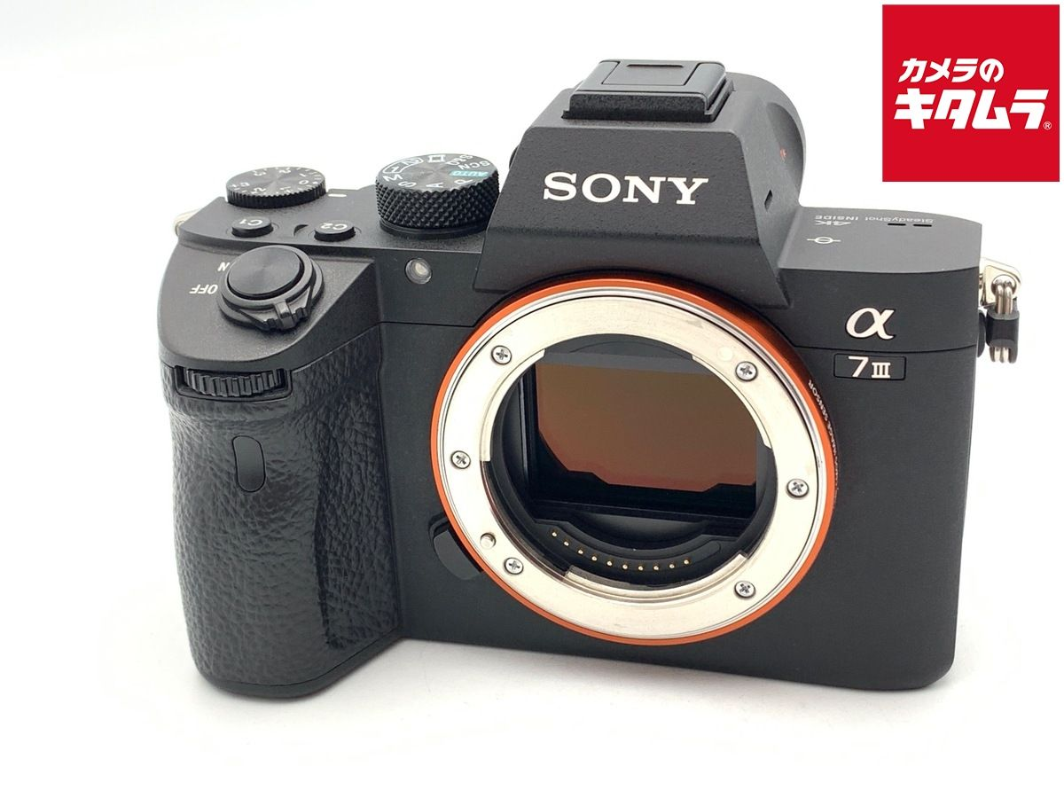 Mirrorless Interchangeable Lips 7Iii [Ilce-7M3]