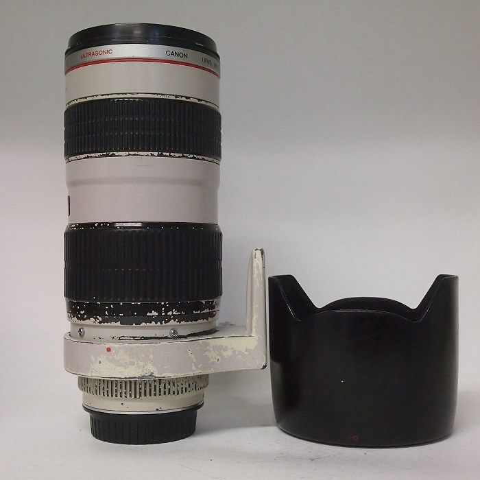 Canon Others Ef70-200/F2.8L Usm