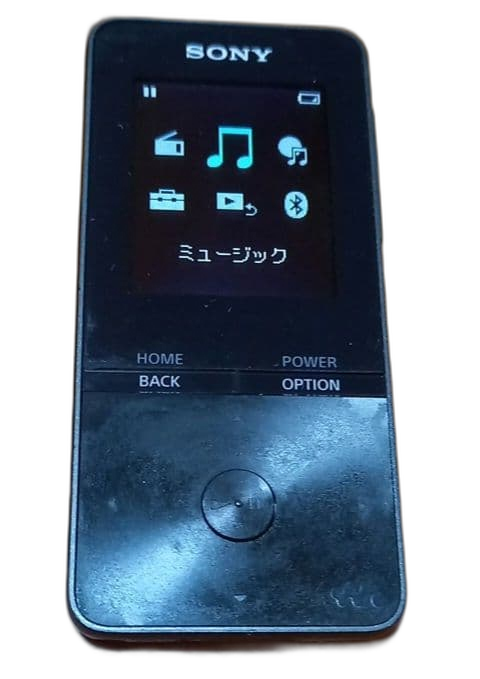 Others Walkman S Nw-S313