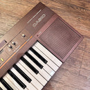 Casio Keyboard Electronic Piano Ct-310 Casiotone