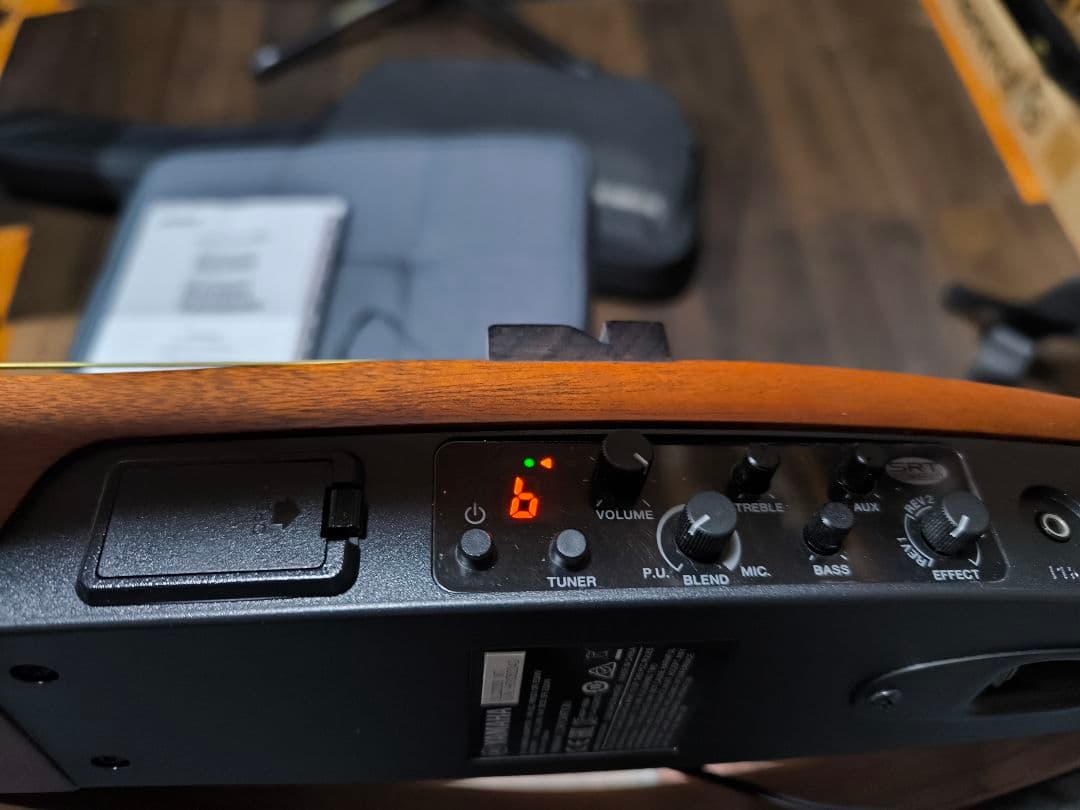 Yamaha Acoustic Guitars Slg200S