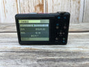 Pentax Compact Digital Cameras Optio Rz10 (42)