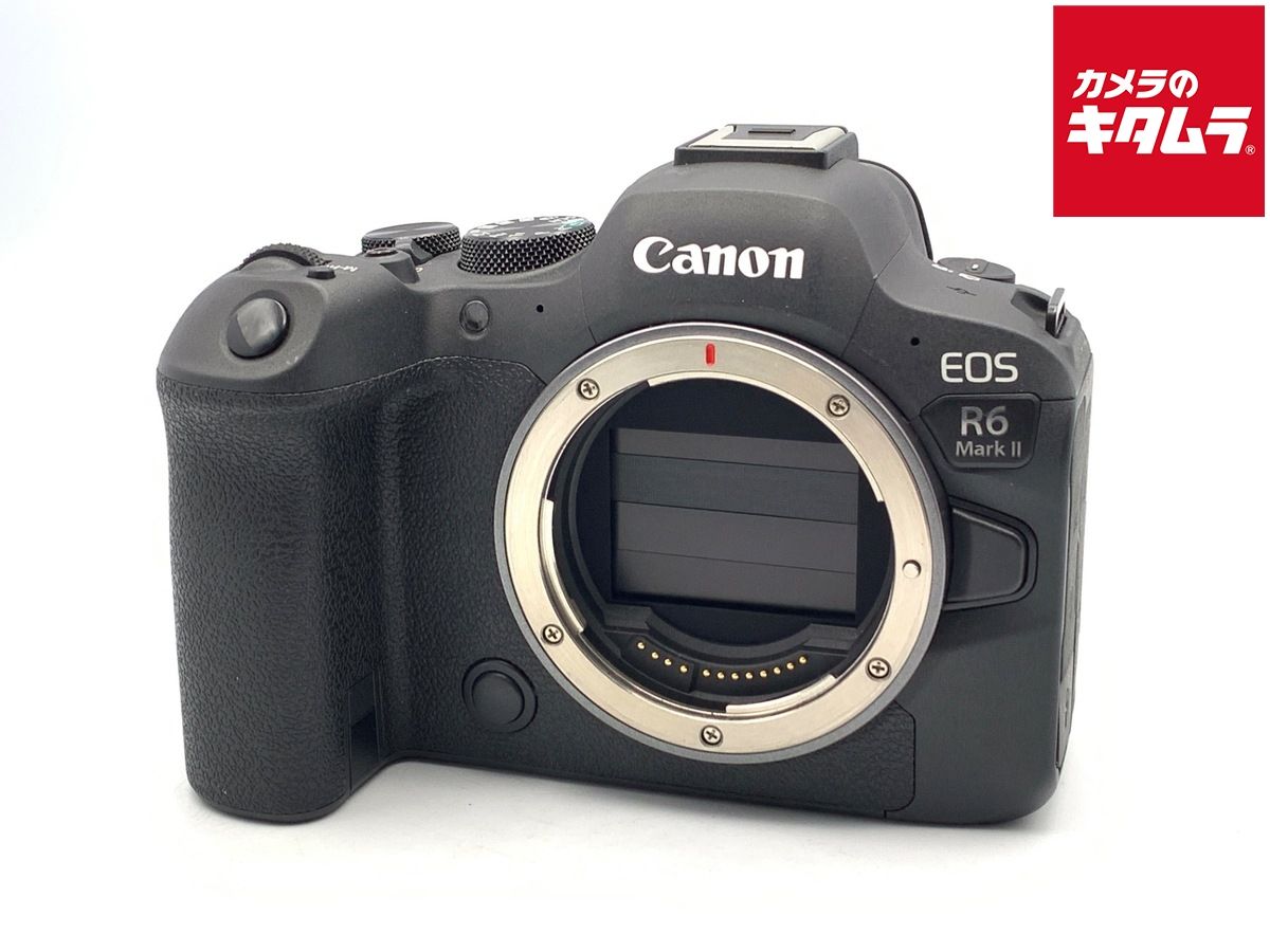 Mirrorless Interchangeable Lips Eos R6 Markii