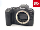 Mirrorless Interchangeable Lips Eos R6 Markii