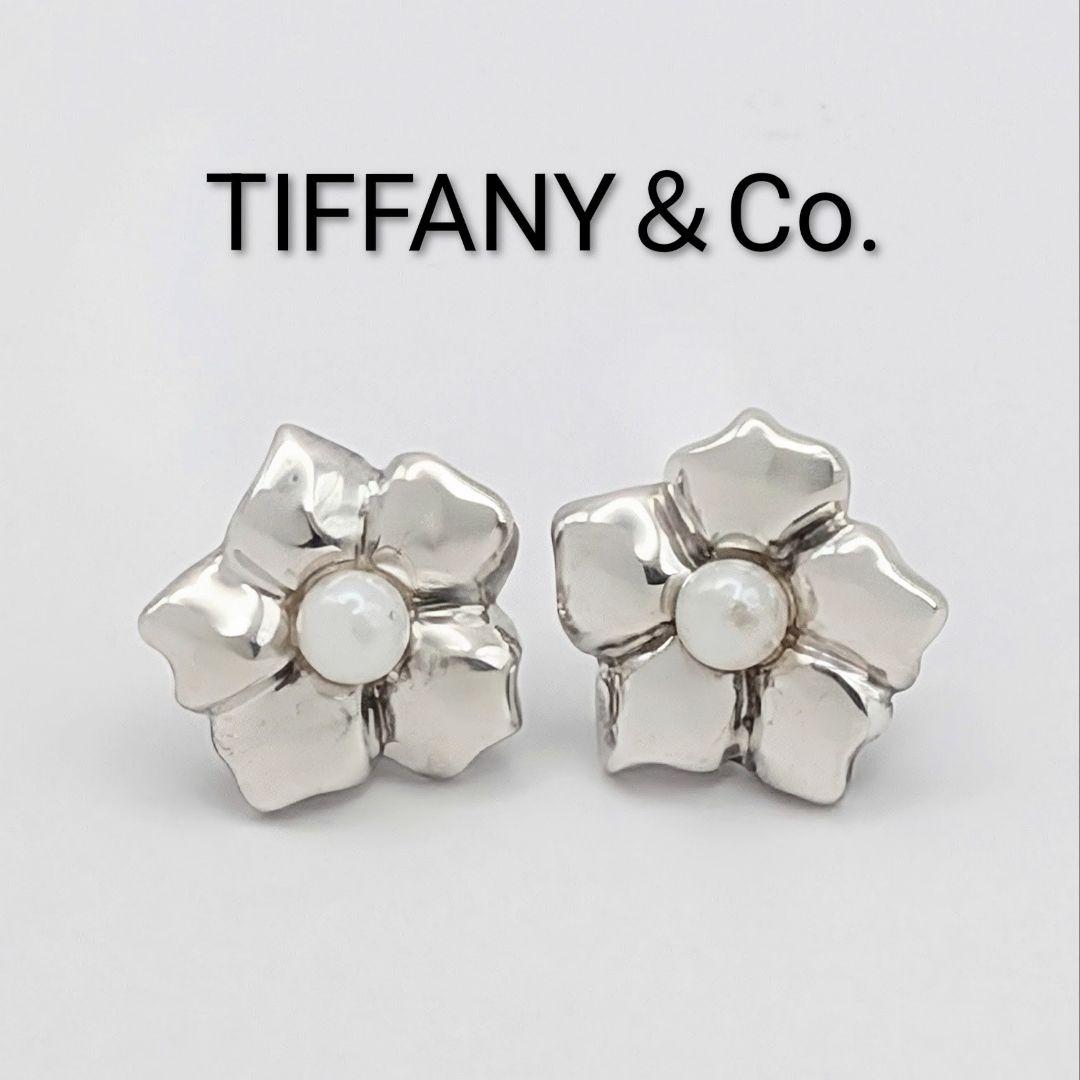 Tiffany Earrings (Pairs) 925