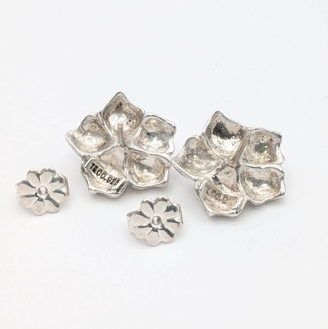 Tiffany Earrings (Pairs) 925
