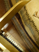 Yamaha Grand Pianos G5E 012505