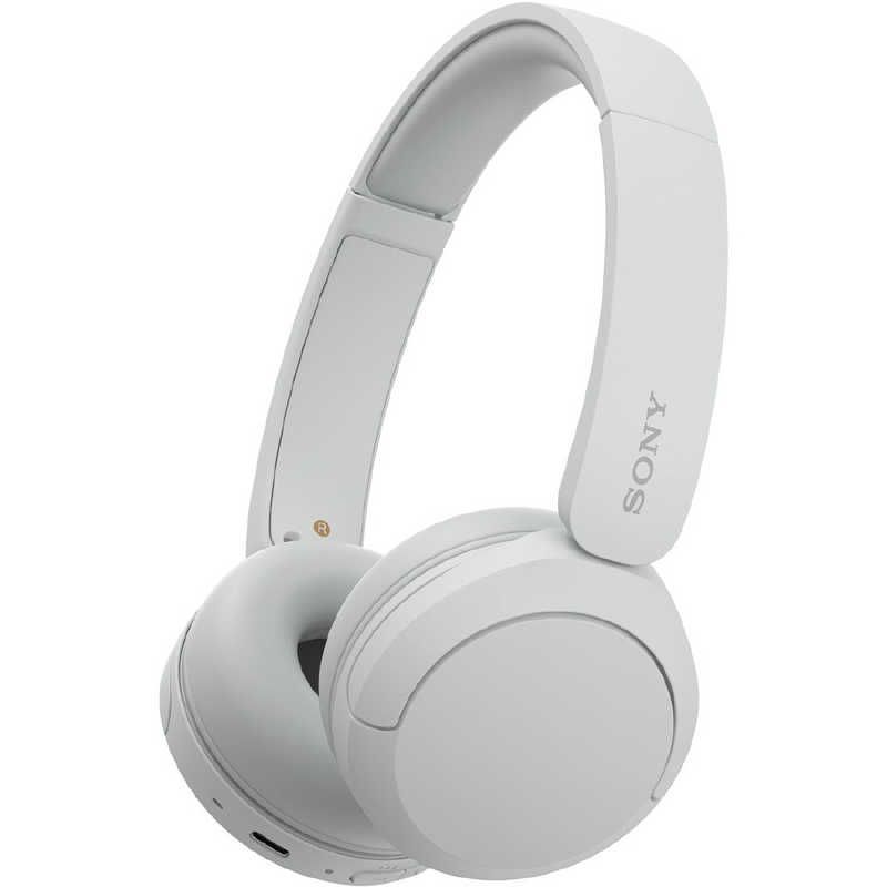 Sony Others /Bluetooth Wh-Ch520 Wz