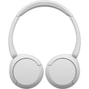 Sony Others /Bluetooth Wh-Ch520 Wz