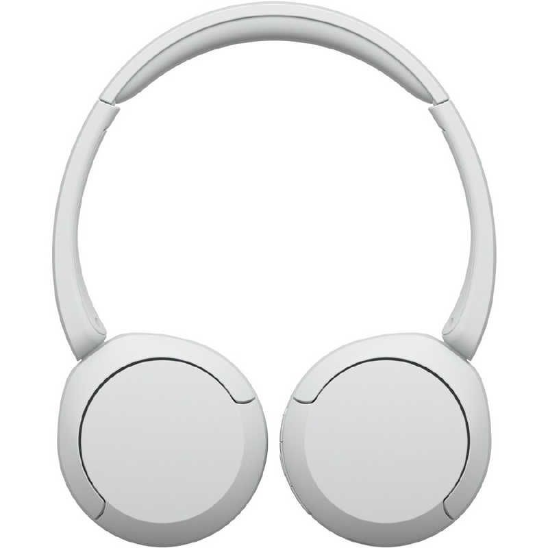 Sony Others /Bluetooth Wh-Ch520 Wz