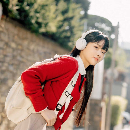 Sony Others /Bluetooth Wh-Ch520 Wz