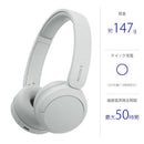 Sony Others /Bluetooth Wh-Ch520 Wz