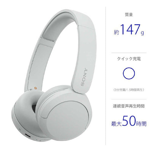 Sony Others /Bluetooth Wh-Ch520 Wz
