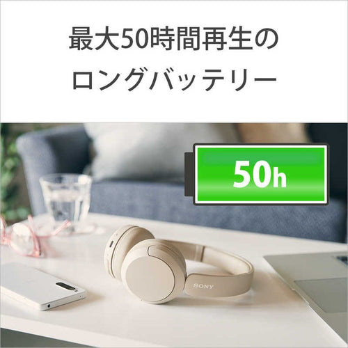 Sony Others /Bluetooth Wh-Ch520 Wz