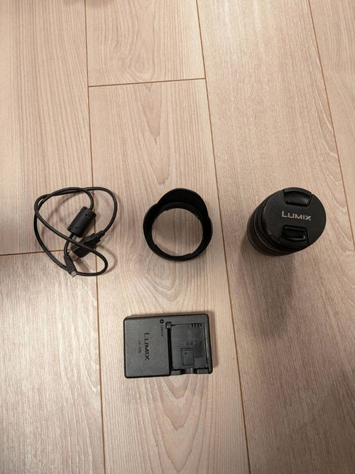 Panasonic Mirrorless Interchangeable Lips Lumix Dmc-Gf3