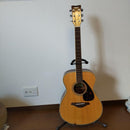 Acoustic Guitars Fs 820