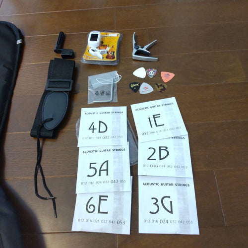 Acoustic Guitars Fs 820