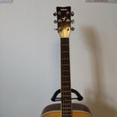 Acoustic Guitars Fs 820