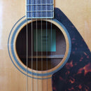 Acoustic Guitars Fs 820