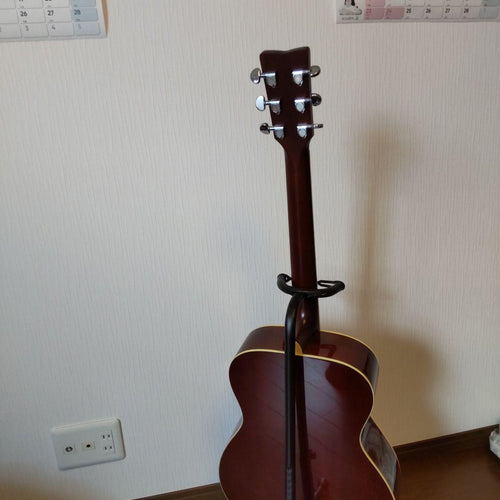 Acoustic Guitars Fs 820