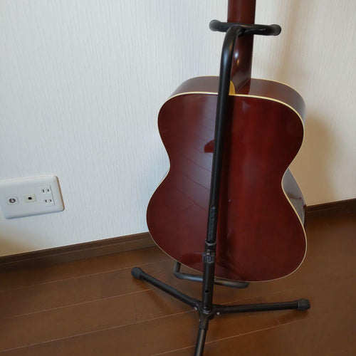 Acoustic Guitars Fs 820