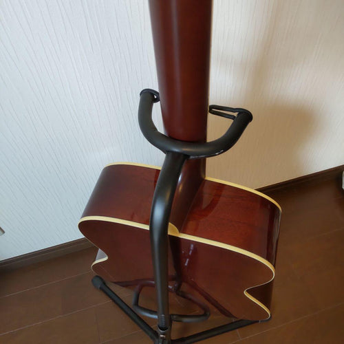 Acoustic Guitars Fs 820
