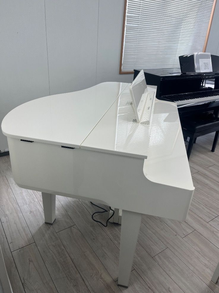 Roland Keyboard Electronic Piano 85932 Gp6Pw 24