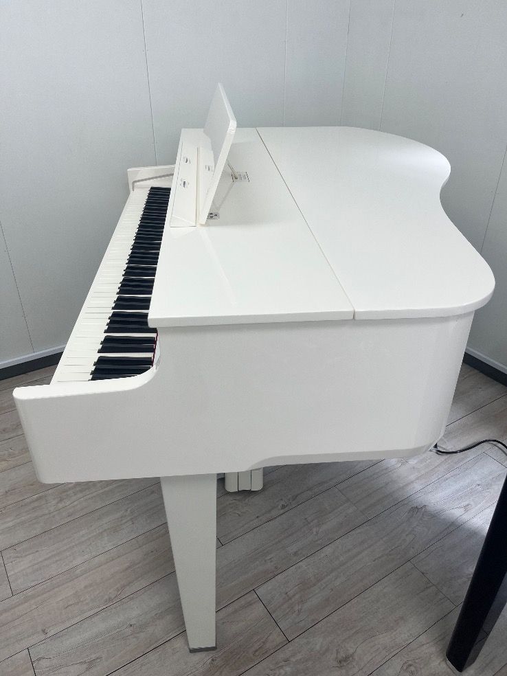 Roland Keyboard Electronic Piano 85932 Gp6Pw 24