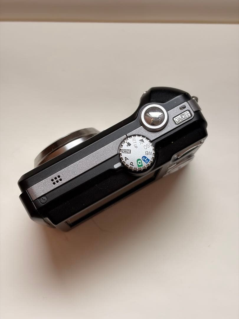 Nikon Compact Digital Cameras Coolpix P1