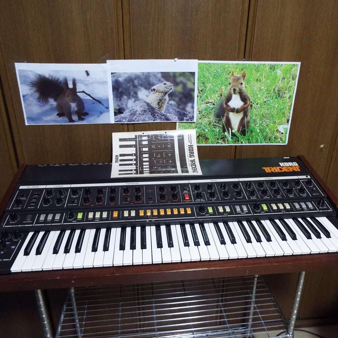Korg Analog Synthesizer Trident