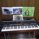 Korg Analog Synthesizer Trident
