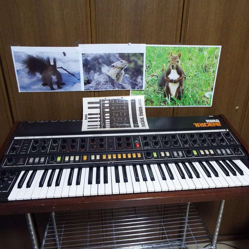 Korg Analog Synthesizer Trident