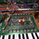 Korg Analog Synthesizer Trident