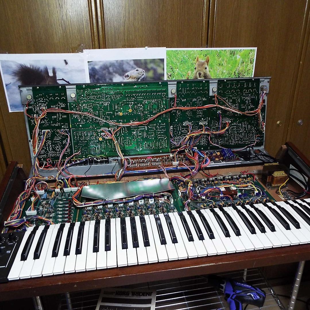 Korg Analog Synthesizer Trident