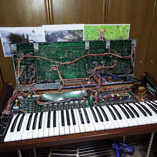 Korg Analog Synthesizer Trident