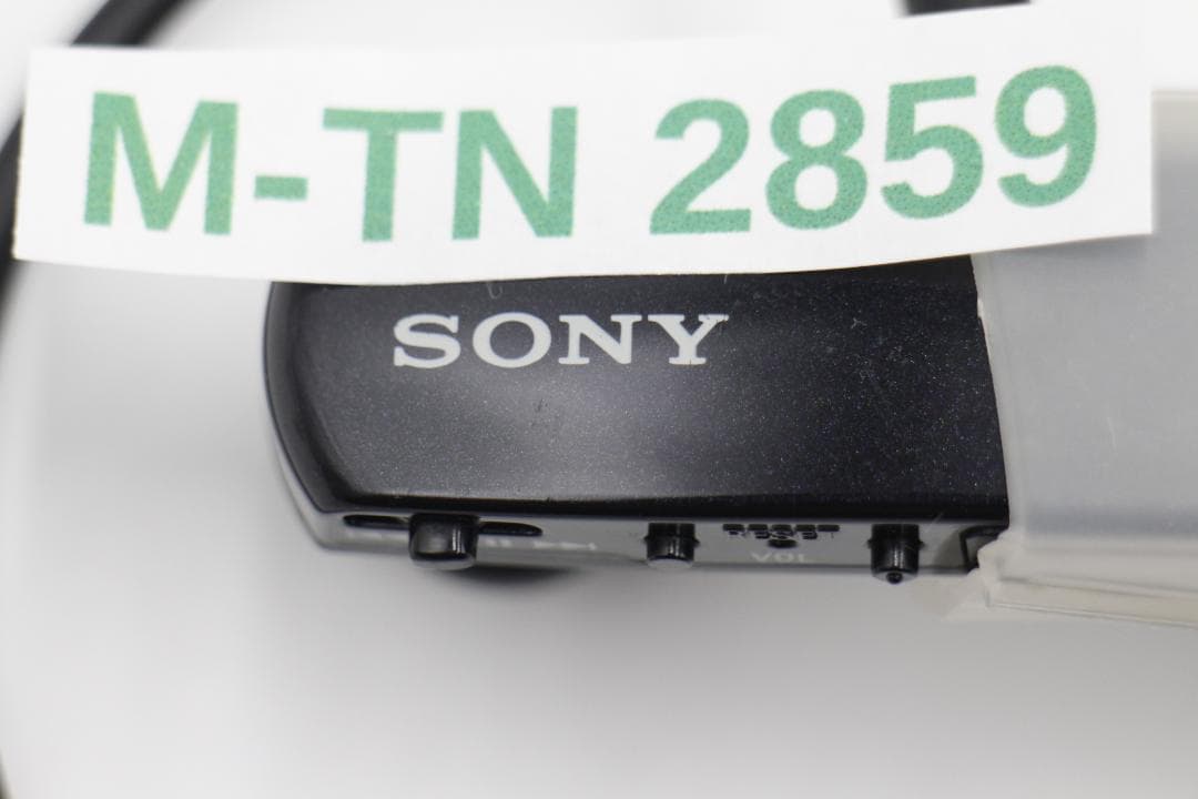 Sony Wireless Earphones 2859-Sony Nwd-W253 4Gb